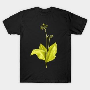 Wild Garlic Green Plant Botanical Art T-Shirt